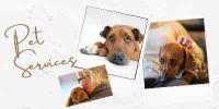 Cremation Services Lasting Paws Pet Memorial Services in Henderson CO