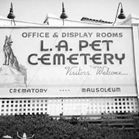 Funeral Director Los Angeles Pet Memorial Park & Crematory in Calabasas CA